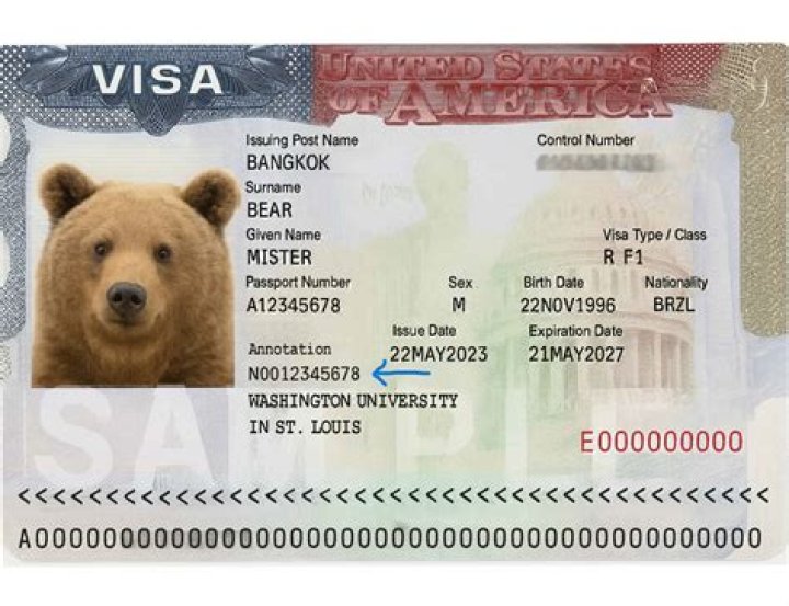 Can I get a Visa card for my child?