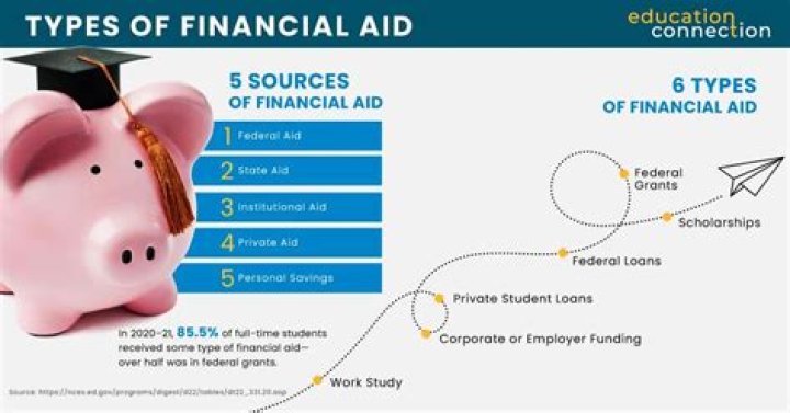 Can you use financial aid as income for credit card?