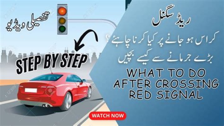 How can I check my road crossing fine in Dubai?
