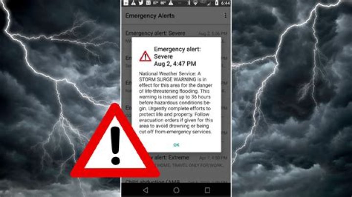 How do you put a fraud alert on your credit report?