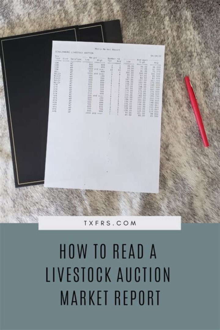 How do you read a livestock auction report?