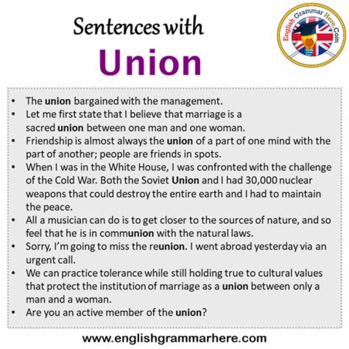 How do you use the word credit union in a sentence?