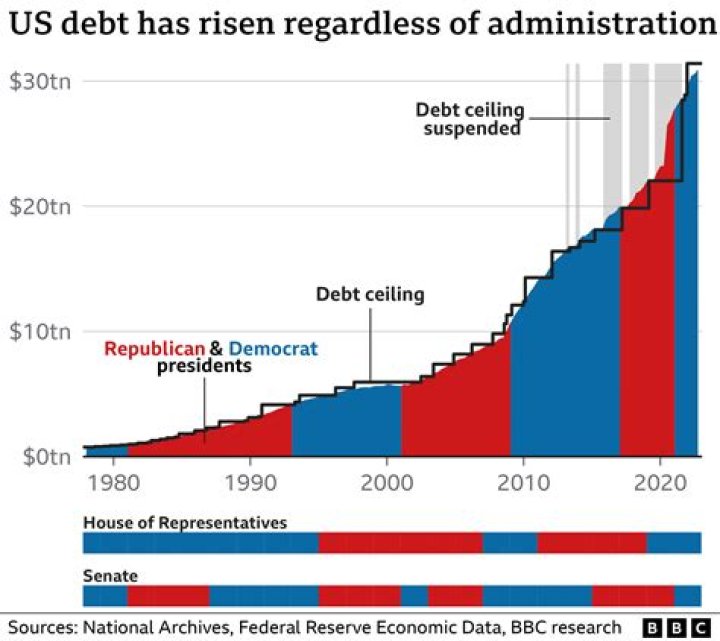 How does the government incur debt?
