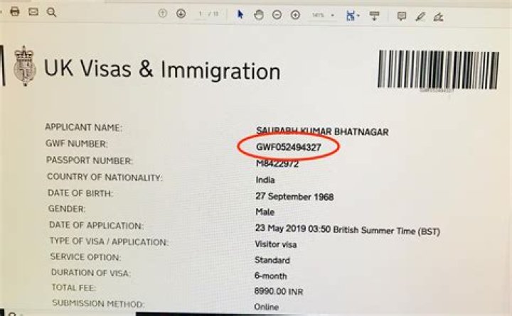 How many digits is a visa number?