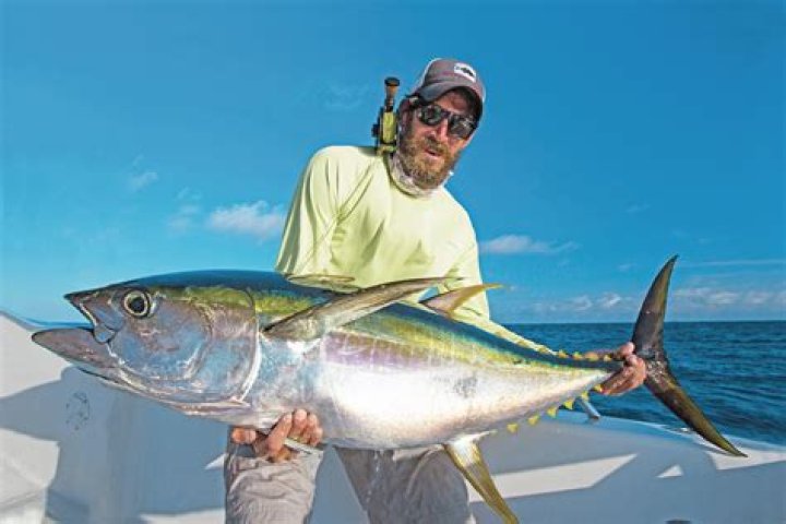 How much is a 300 lb tuna worth?