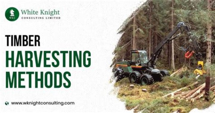 How much timber is harvested annually?