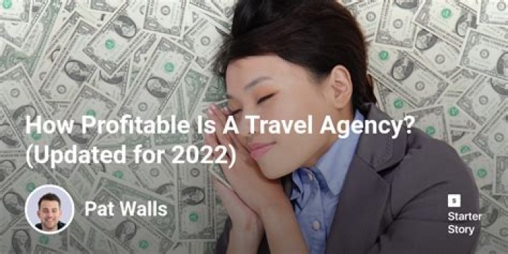 How profitable is a travel agency?