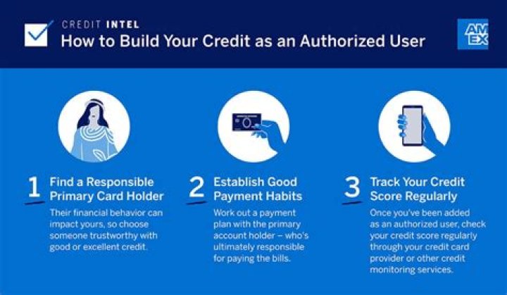 Is an authorized user responsible for credit card payment?