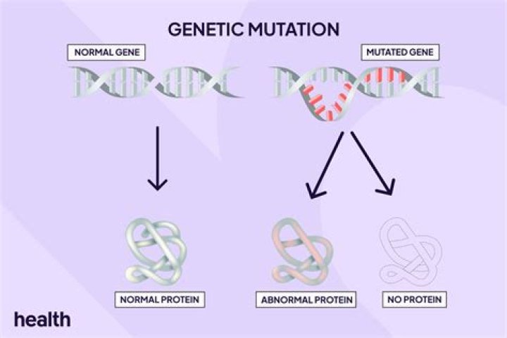 Is being really fertile genetic?