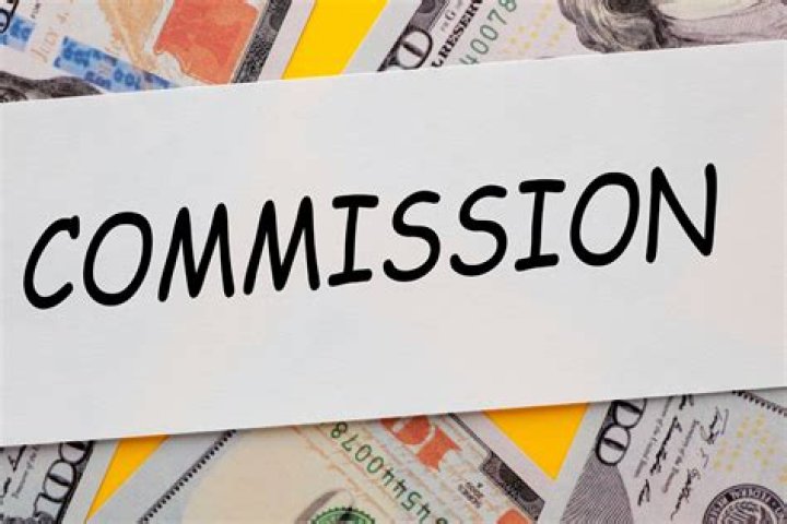 Is commission paid an asset?