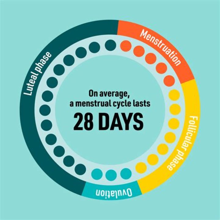 Is it normal to go on periods three times a month?
