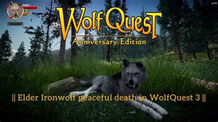 Is Wolf Quest 3 out yet?