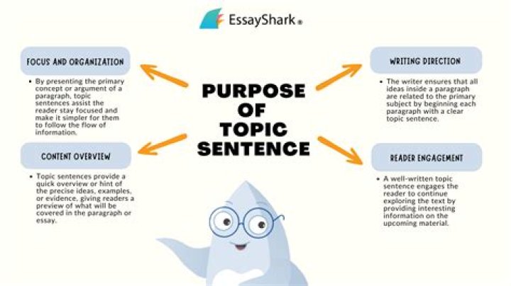 What are the 3 positions of a topic sentence?