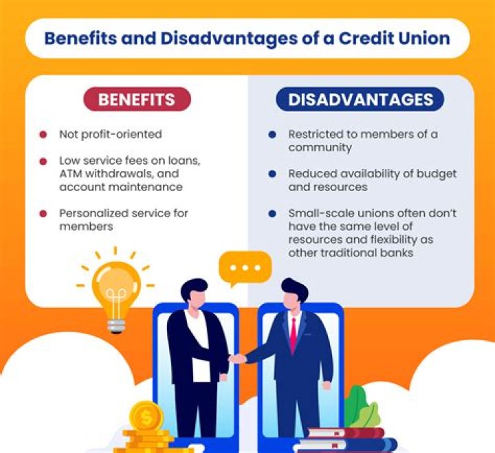 What are the advantages and disadvantages of using a credit union?