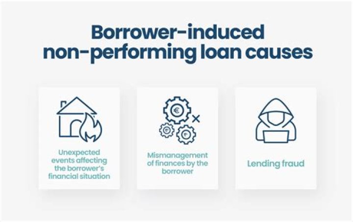 What are the causes of non performing loans?
