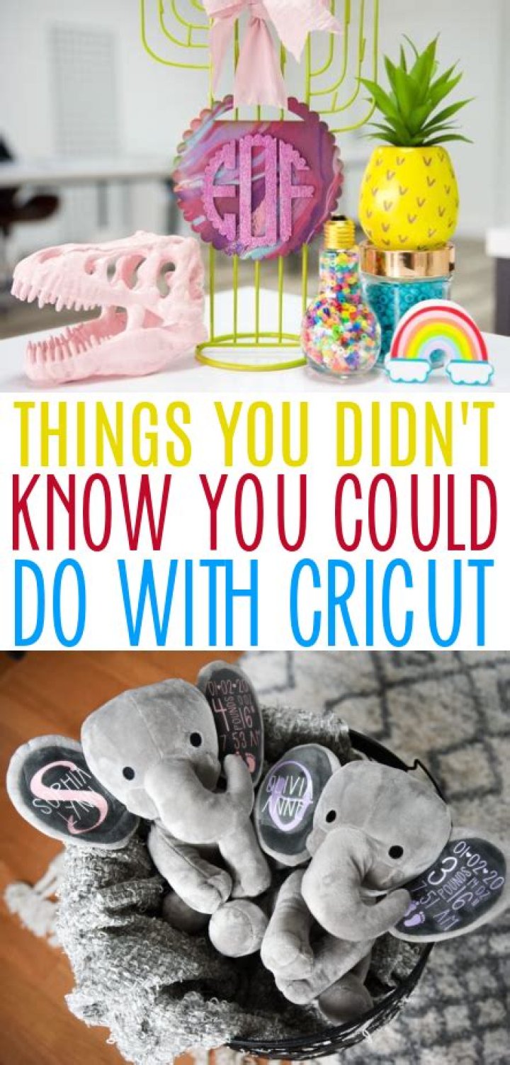 What can you do with Disney Dollars?