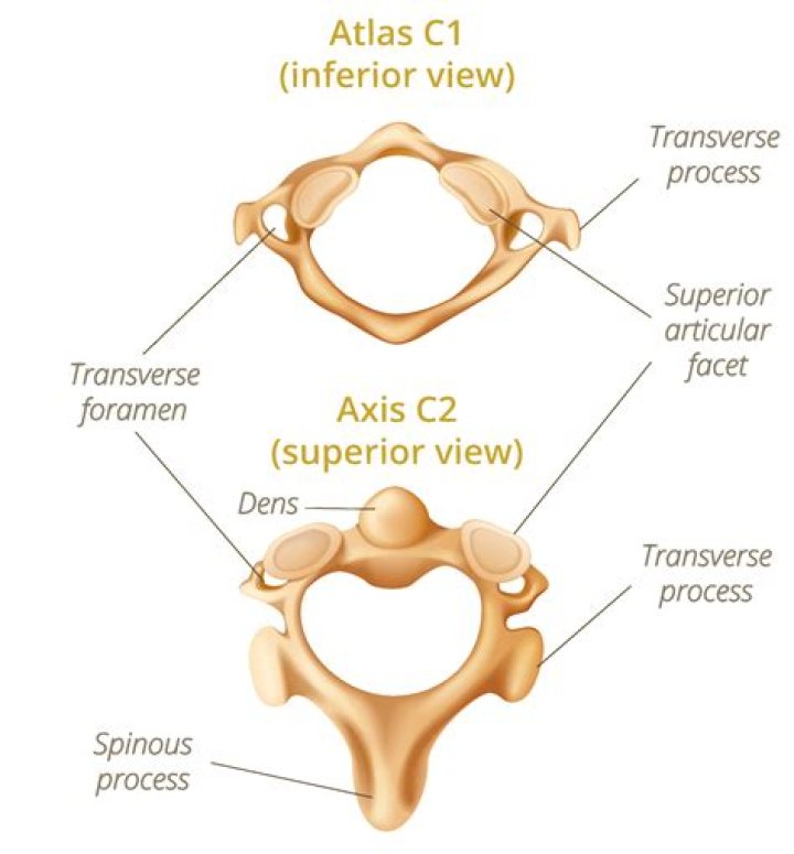 What do CV2 mean?
