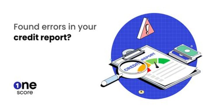 What do you call a person who fix credit report?