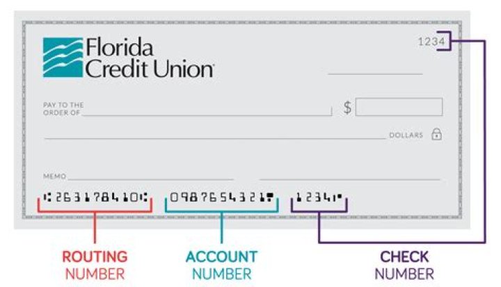 What does a credit union do?