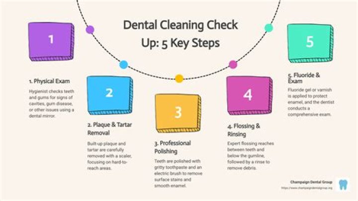 What does a full check up consist of?
