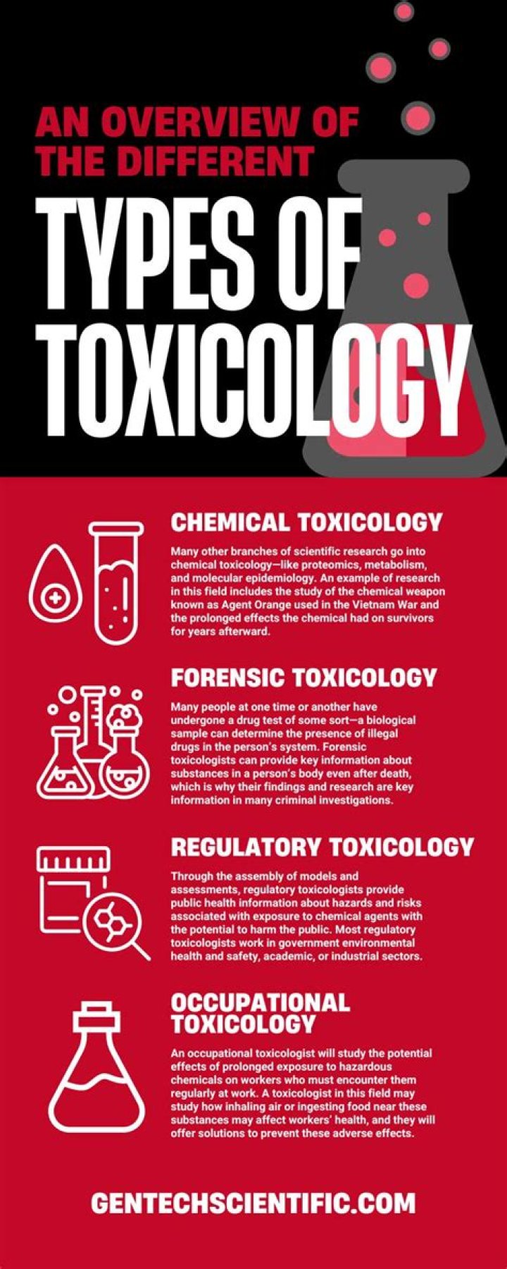 What does a toxicology report show?