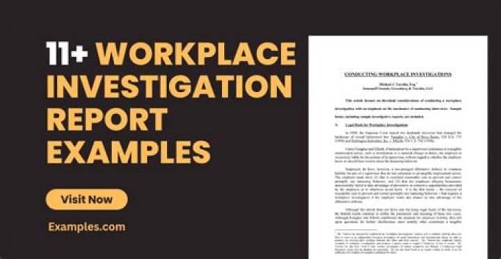 What does an investigation report include?