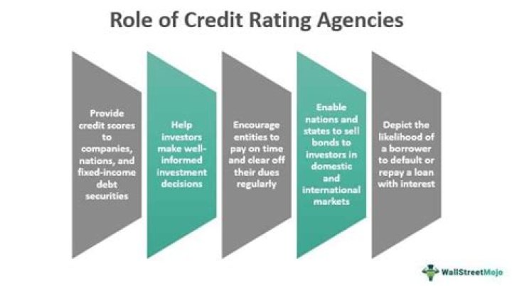What does credit rating agency do?