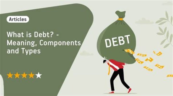 What does debt per citizen mean?