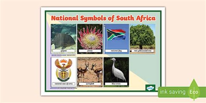 What does Fais stand for in South Africa?