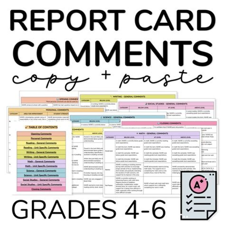 What does Promoted Y mean on a report card?
