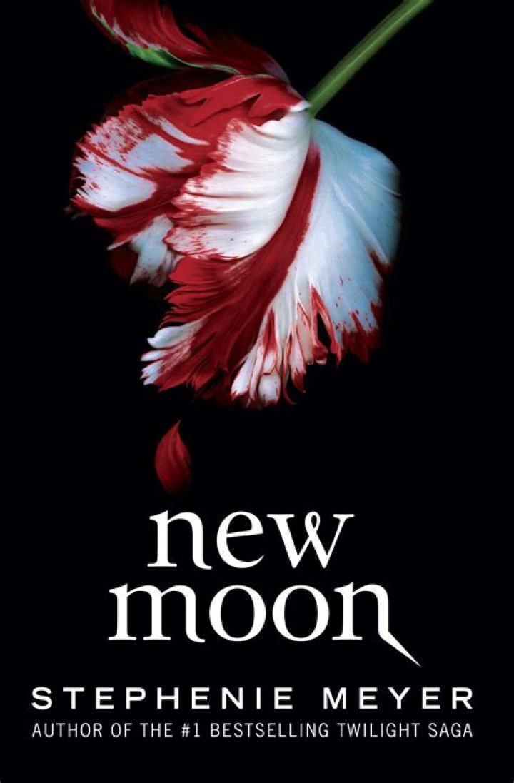 What happened in New Moon book?