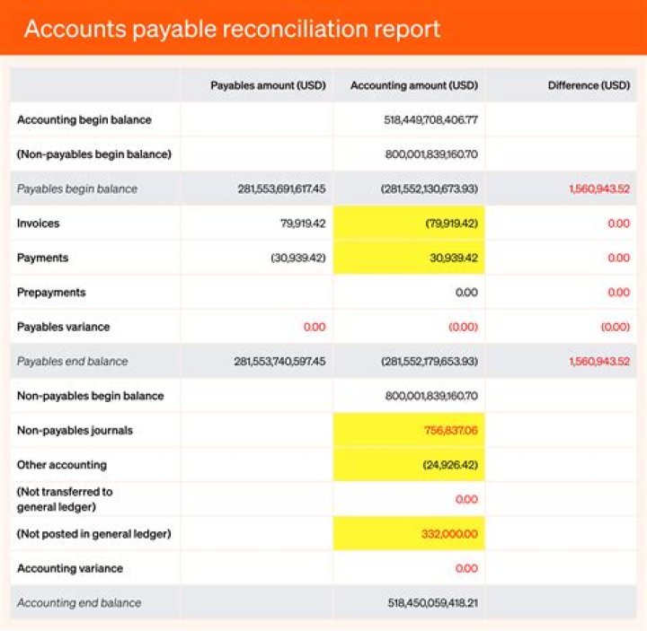 What if accounts payable has debit balance?