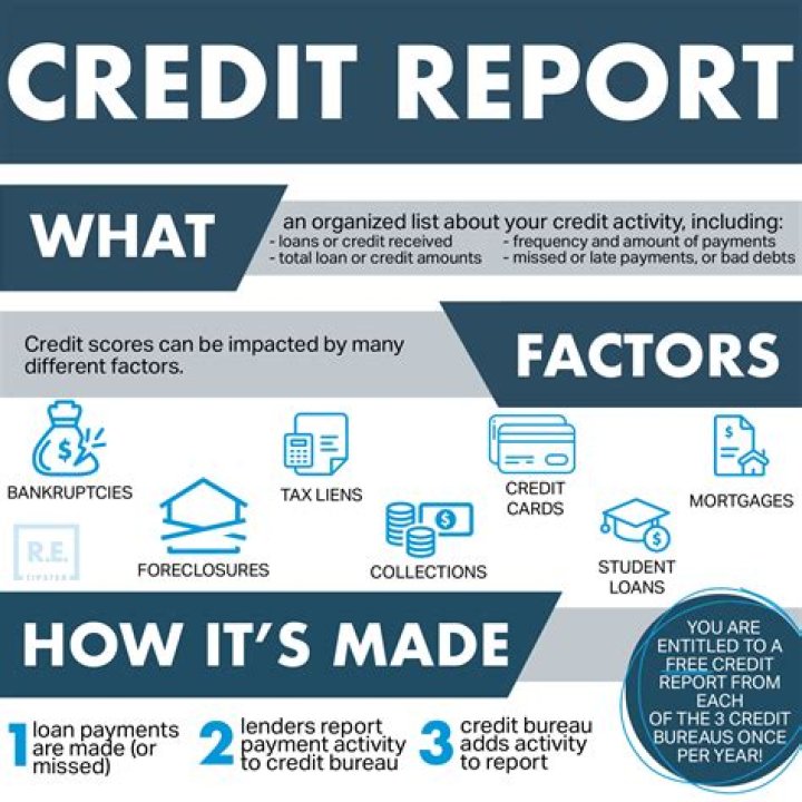 What information can appear on a credit report?