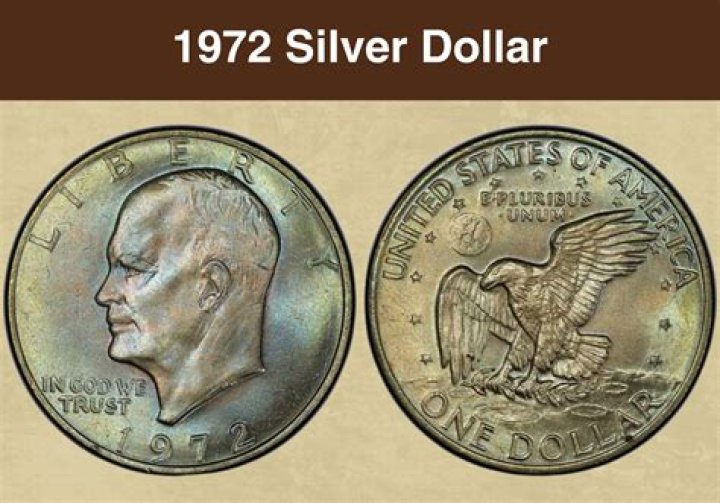 What is a 1973 silver dollar worth?
