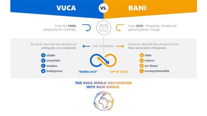 What is a Bani coin?