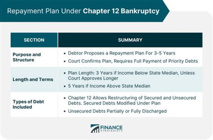 What is Chapter 7 bankruptcy in simple terms?