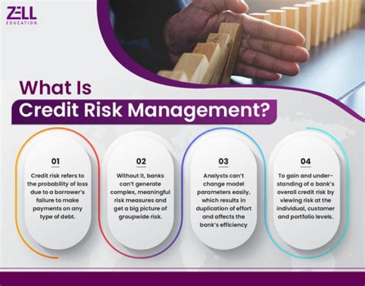 What is credit risk management in business?