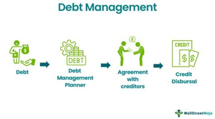 What is debt management policies?