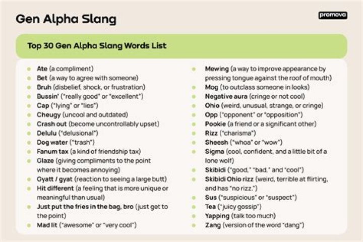 What is Spensa slang for?