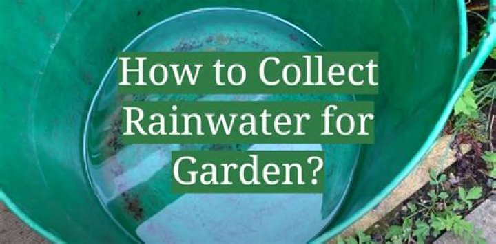 What is the best way to collect rainwater?
