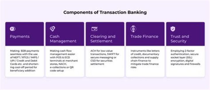 What is the most common form of a transaction account?