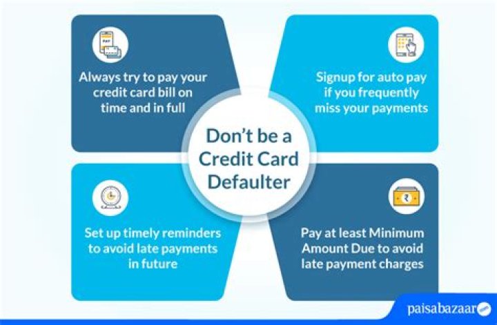 What is the punishment for credit card defaulters in India?