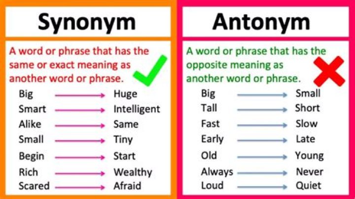 What is the synonym for wealth?