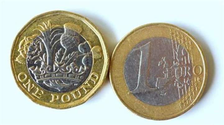 What was a euro worth in 2010?