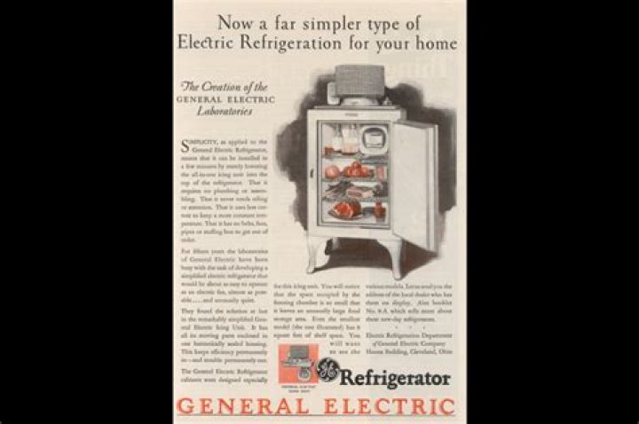 When did refrigerators become mainstream?