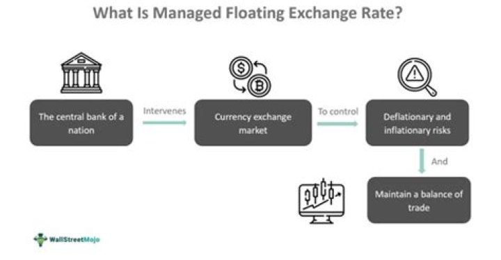Which of the following best explains what happens to the exchange rate of the floating currency?
