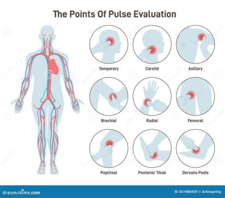 Which part of the body has contractions in Stage 1?