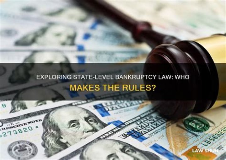 Who makes rules about bankruptcy?