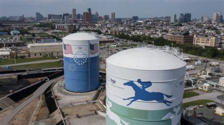Who owns Baltimore gas and electric?